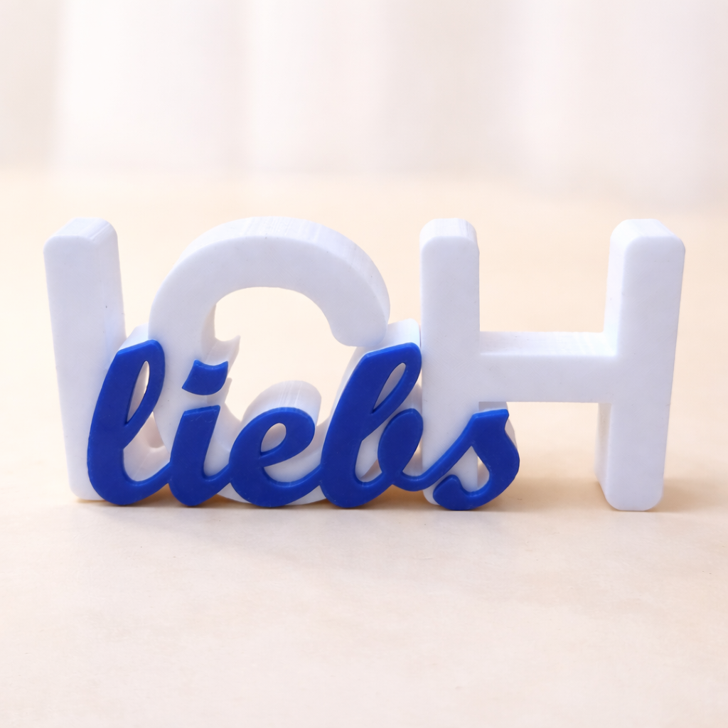 Personalisierter 3D Schriftzug mit Initiale – zweifarbig aus PETG